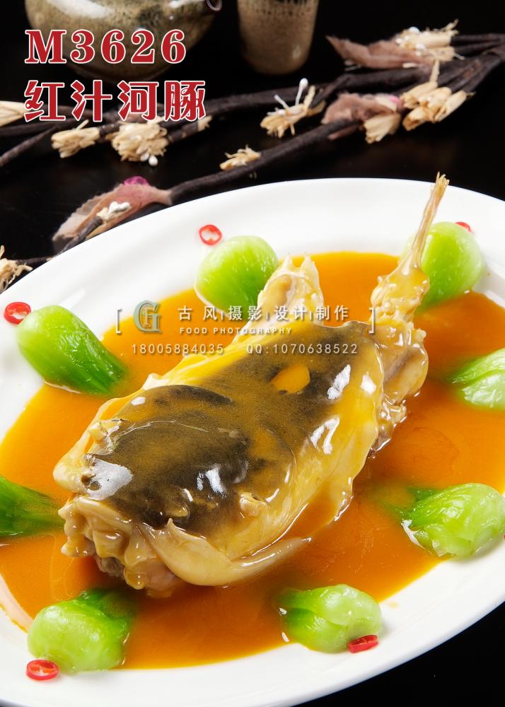 M3626红汁河豚 副本