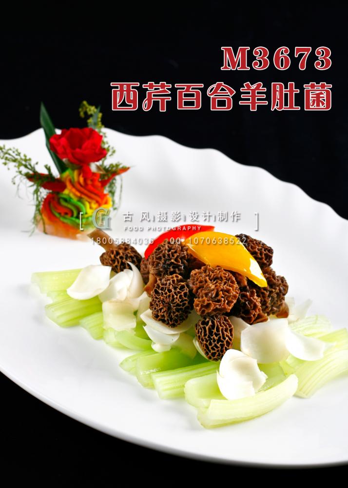 M3673西芹百合羊肚菌 副本