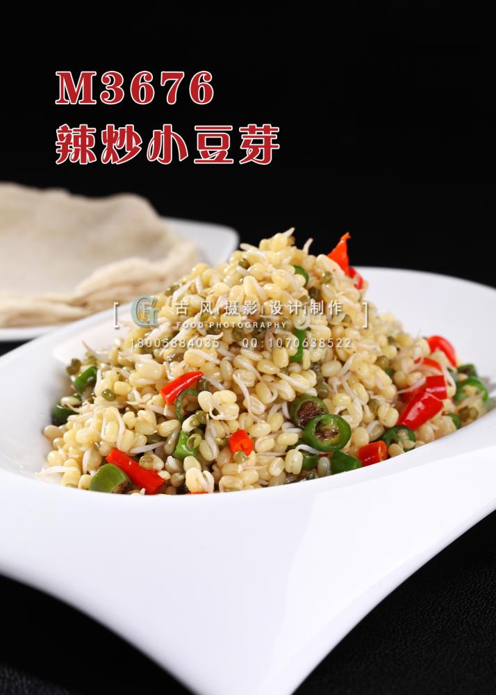 M3676辣炒小豆芽 副本