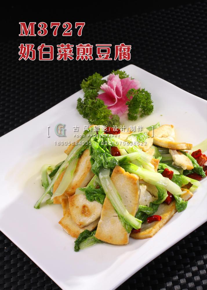M3727奶白菜煎豆腐 副本