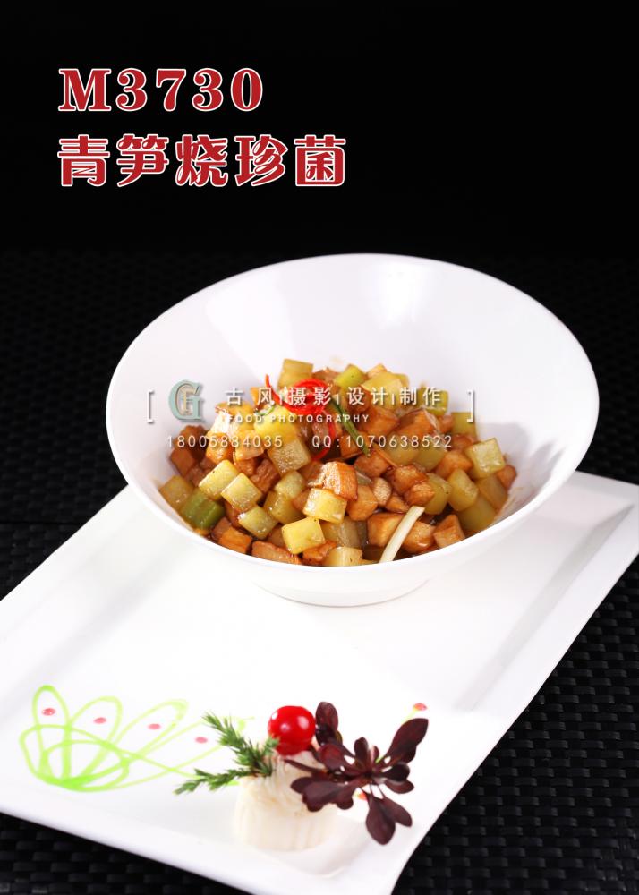 M3730青笋烧珍菌 副本
