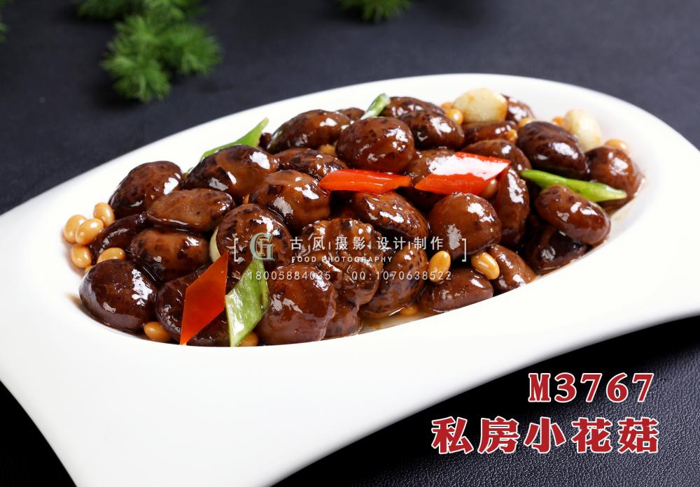 M3767私房小花菇 副本