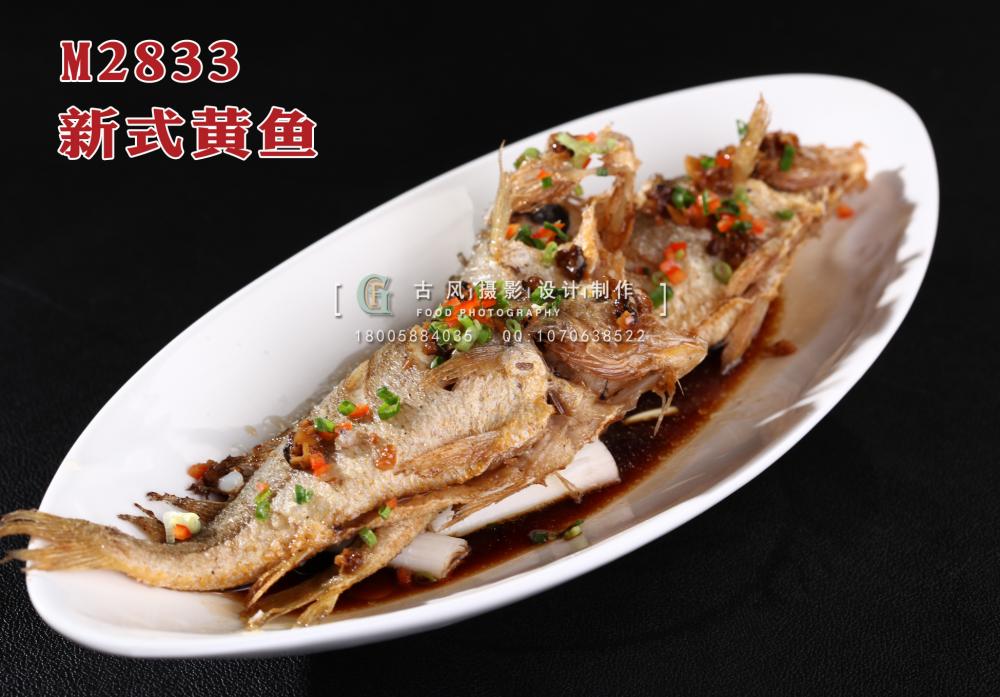 M2833新式黄鱼 副本