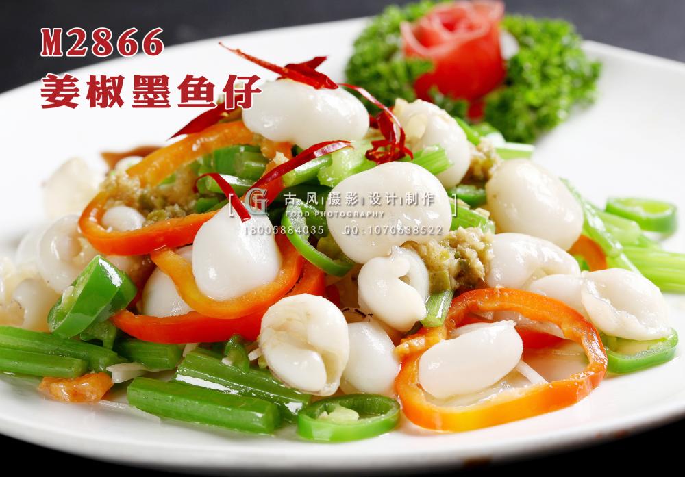 M2866姜椒墨鱼仔 副本