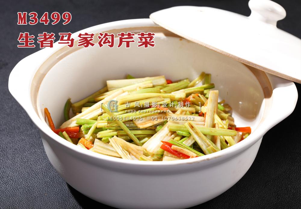 M3499生者马家沟芹菜 副本