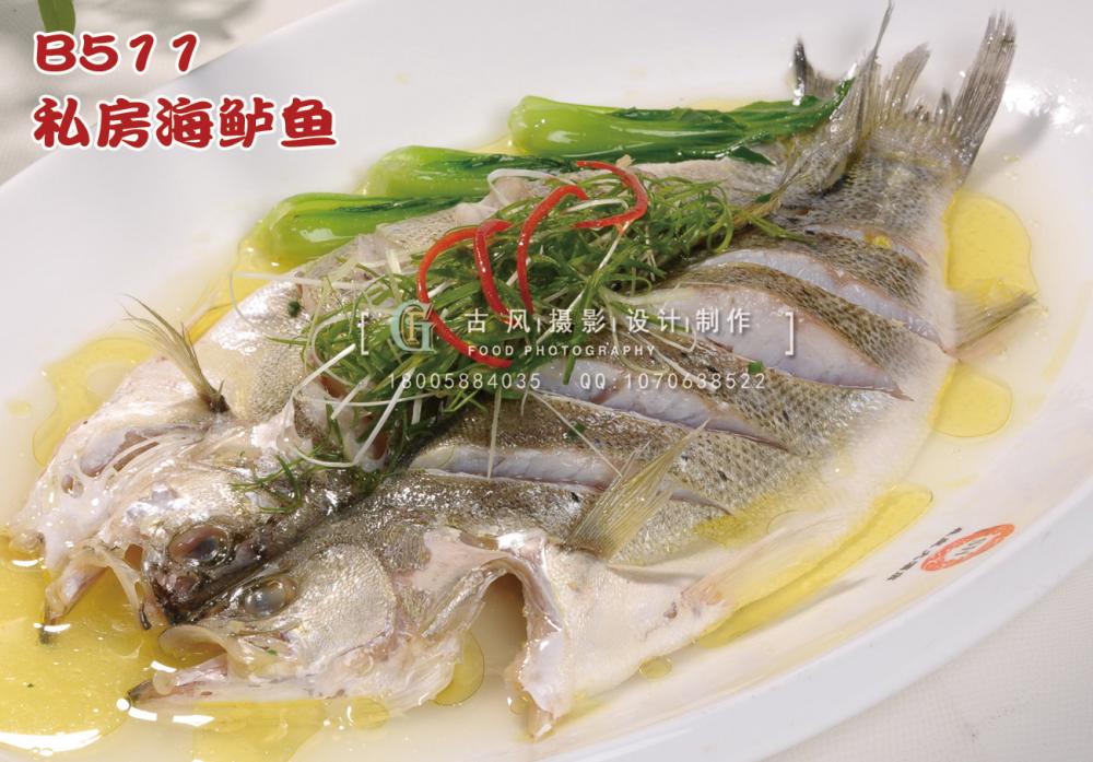 B511私房海鲈鱼 副本
