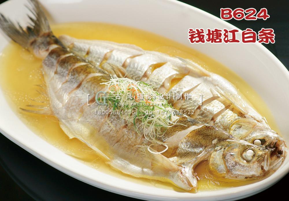 B624钱塘江白条 副本