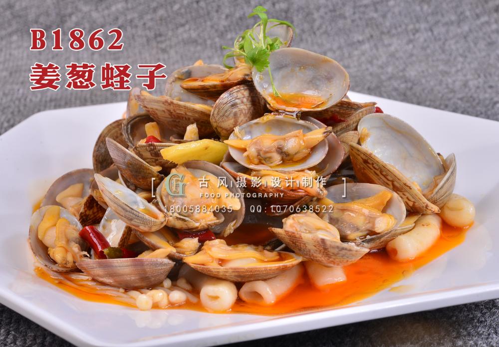 B1862姜葱蛏子 拷贝