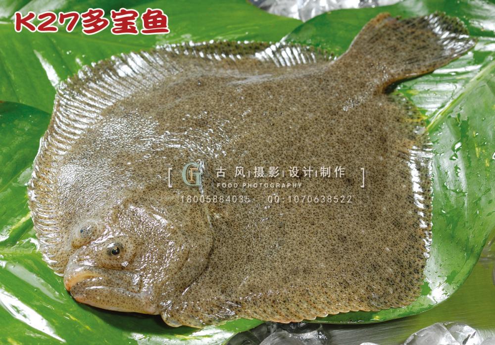 K27多宝鱼 副本