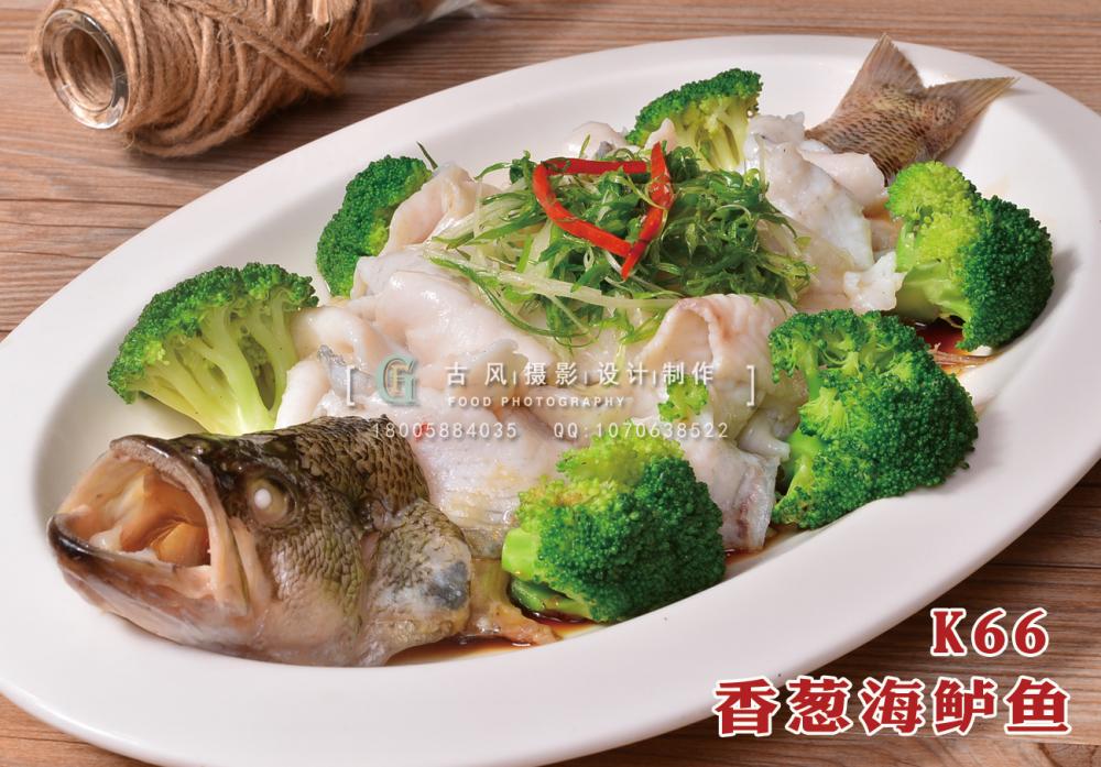 K66香葱海鲈鱼 副本