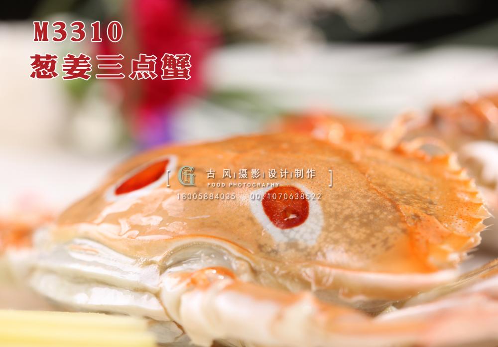 M3310葱姜三点蟹 副本