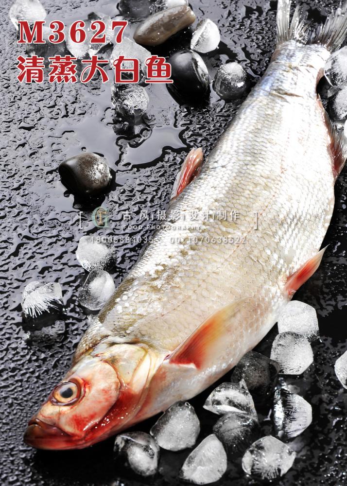 M3627清蒸大白鱼 副本