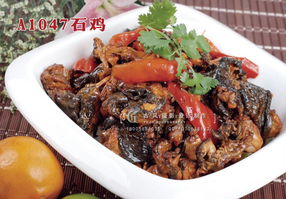 A1047石鸡 拷贝