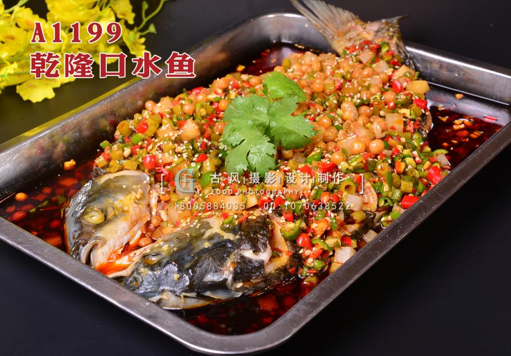 A1199乾隆口水鱼 拷贝