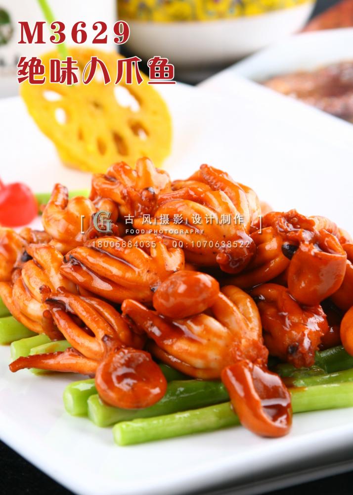 M3629绝味八爪鱼 副本