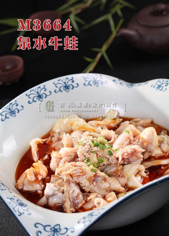 M3664泉水牛蛙 副本