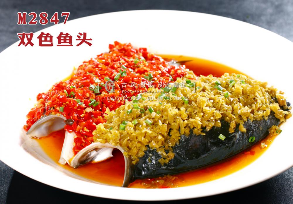 M2847双色鱼头 副本