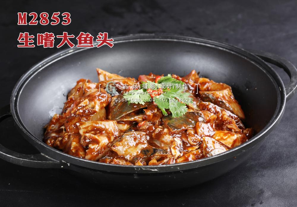 M2853生嗜大鱼头 副本