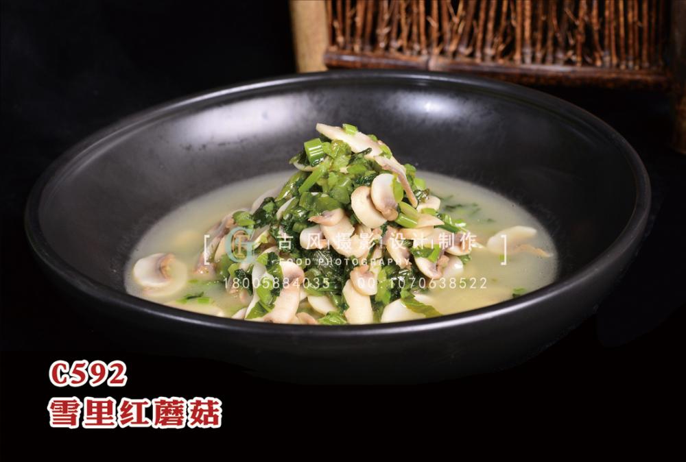 C592雪里红蘑菇 副本