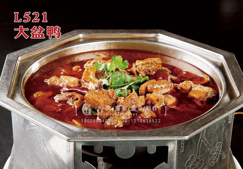 L521大盆鸭 副本