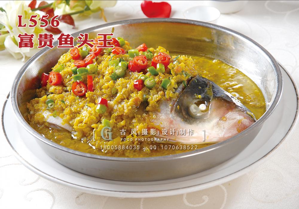 L556富贵鱼头王 副本