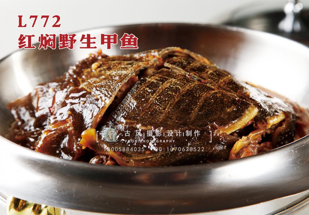 L772红焖野生甲鱼 副本
