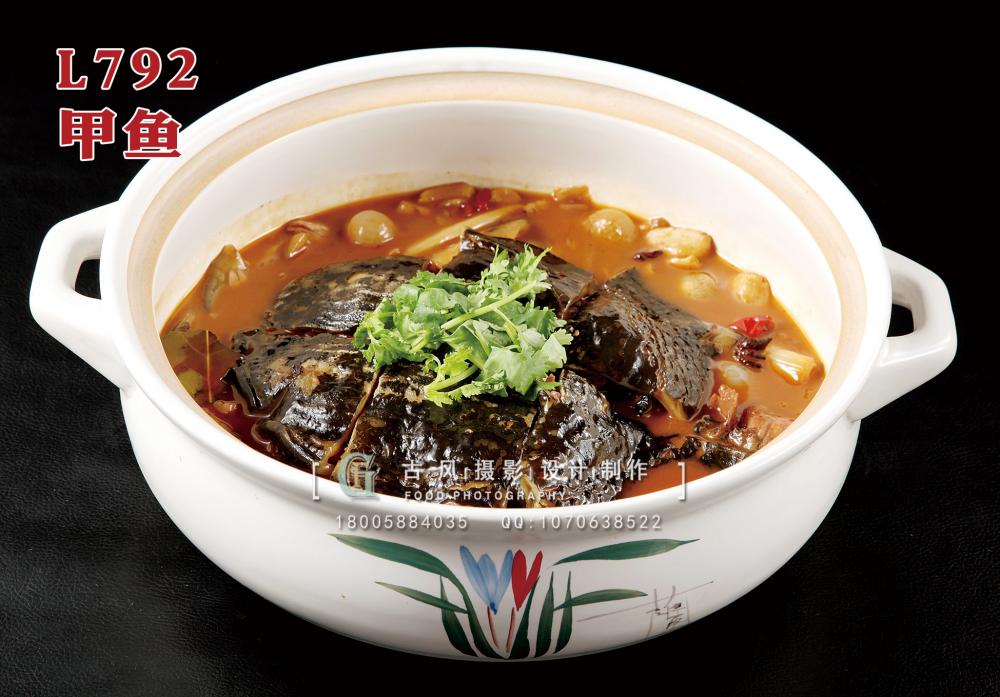 L792甲鱼 副本