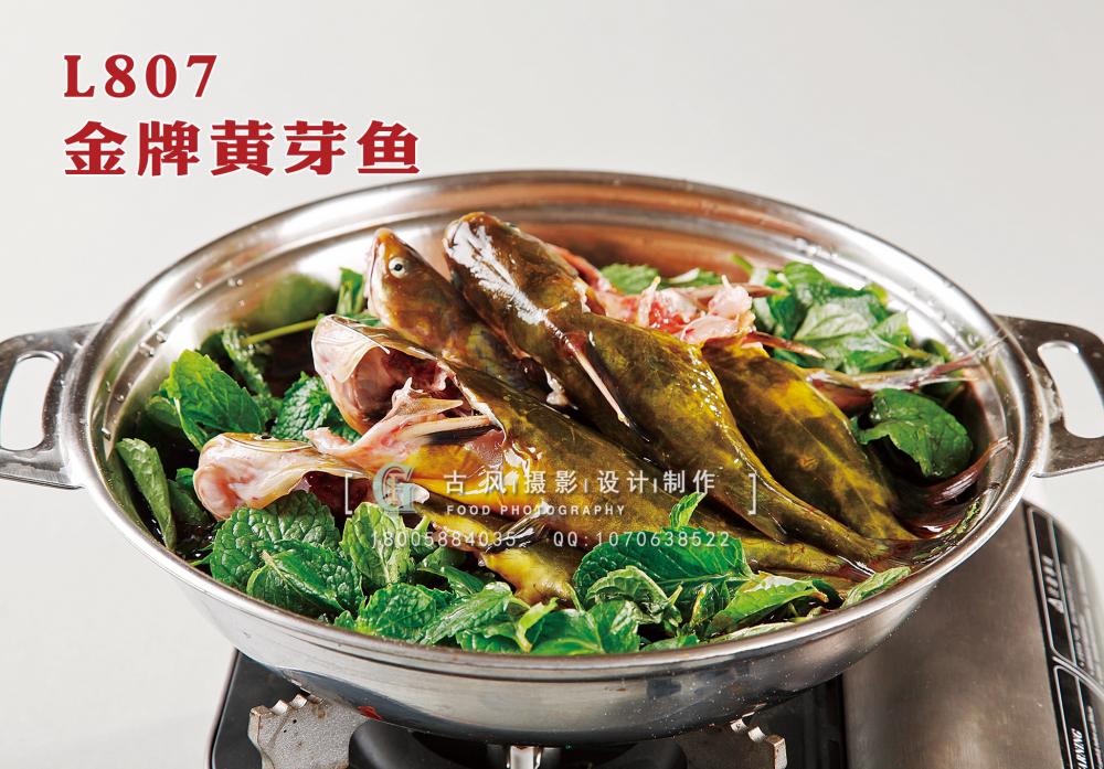 L807金牌黄芽鱼 副本