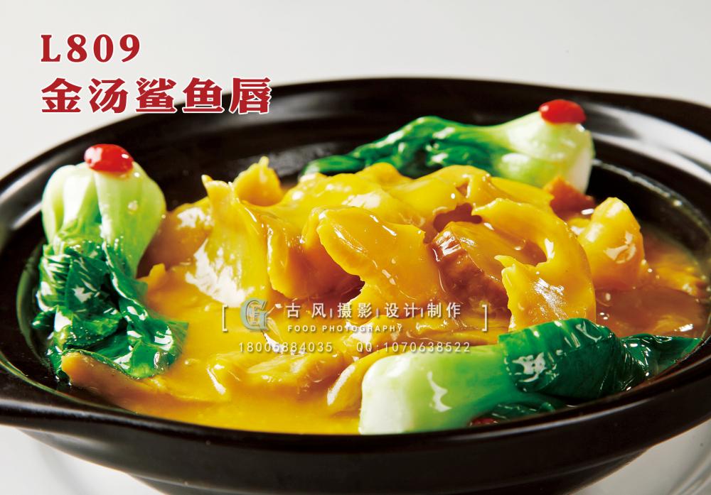 L809金汤鲨鱼唇 副本