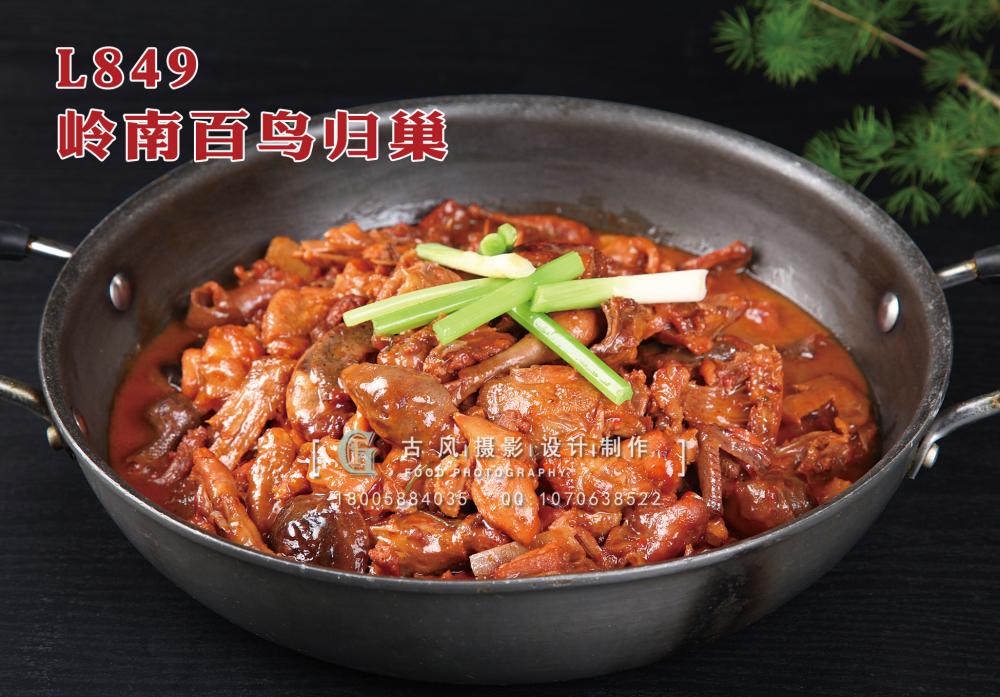 L849岭南百鸟归巢 副本