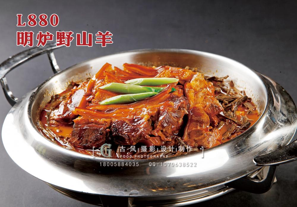 L880明炉野山羊 副本
