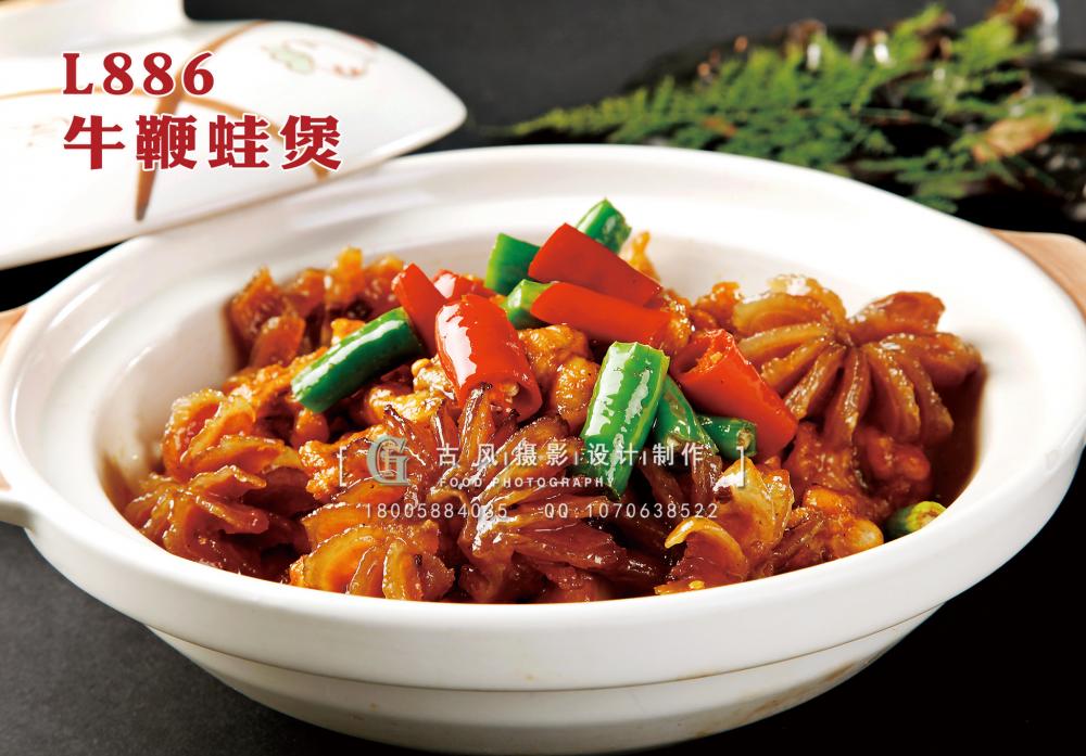 L886牛鞭蛙煲 副本