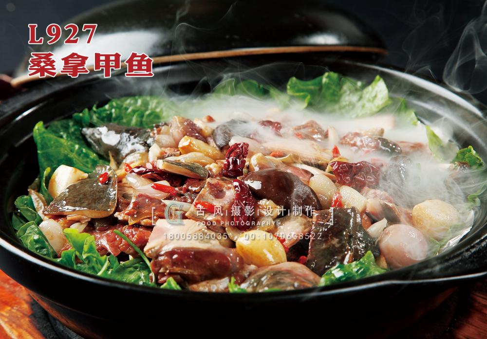 L927桑拿甲鱼 副本