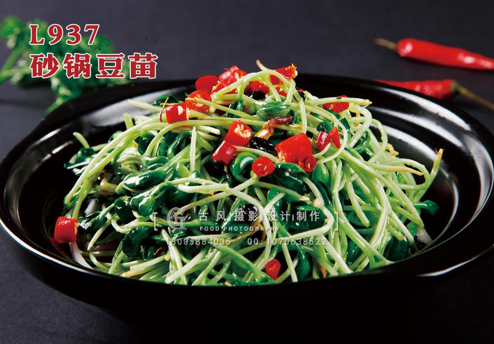 L937砂锅豆苗 副本