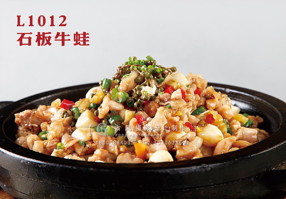 L1012石板牛蛙 副本