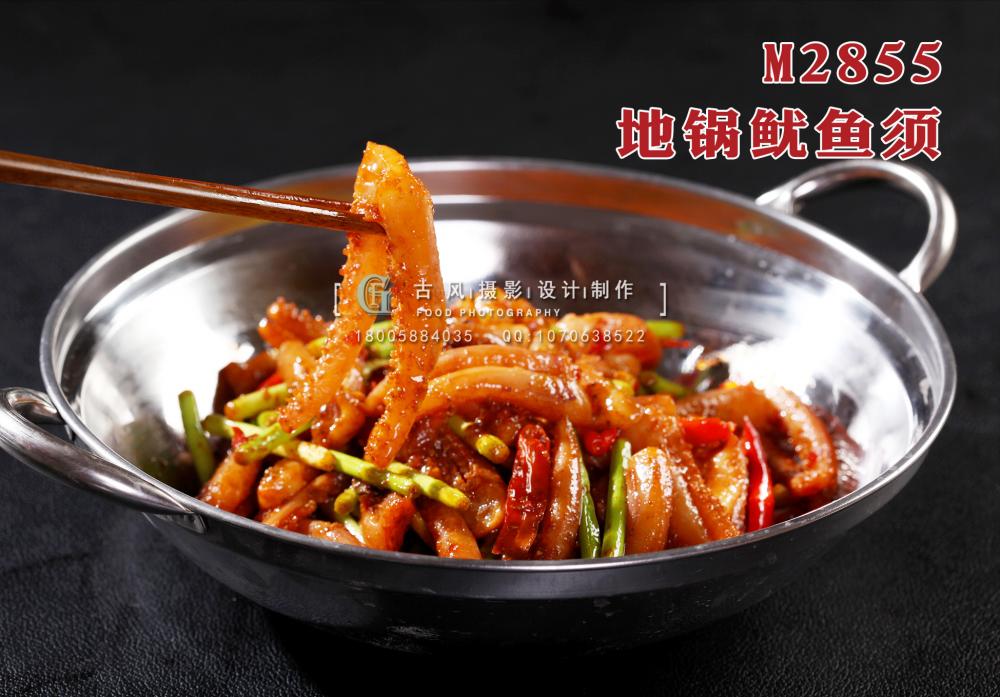 M2855地锅鱿鱼须 副本
