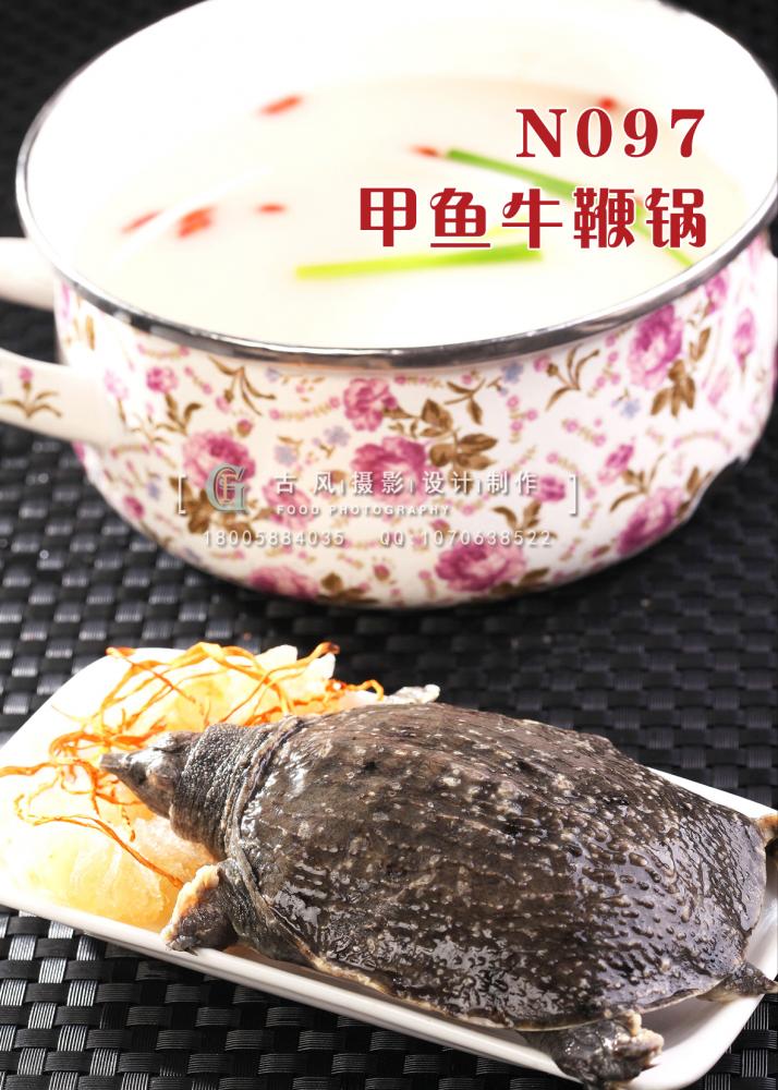 N097甲鱼牛鞭锅 副本