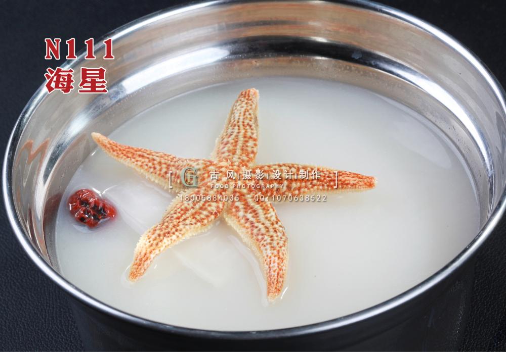 N111海星 副本