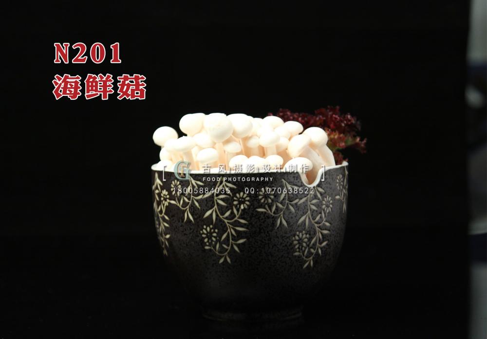 N201海鲜菇 副本