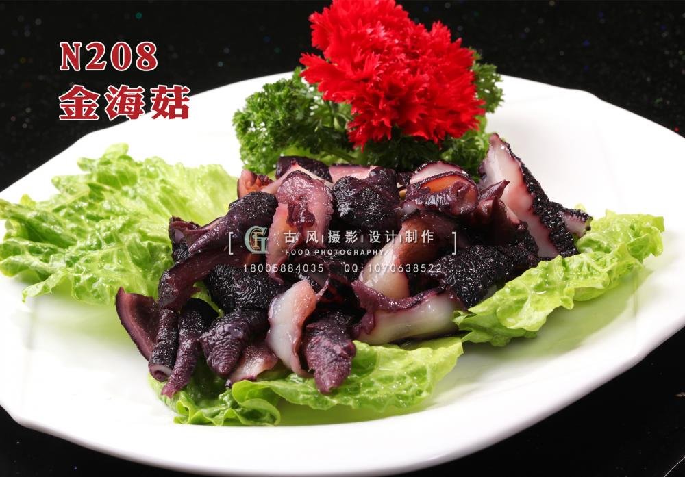 N208金海菇 副本