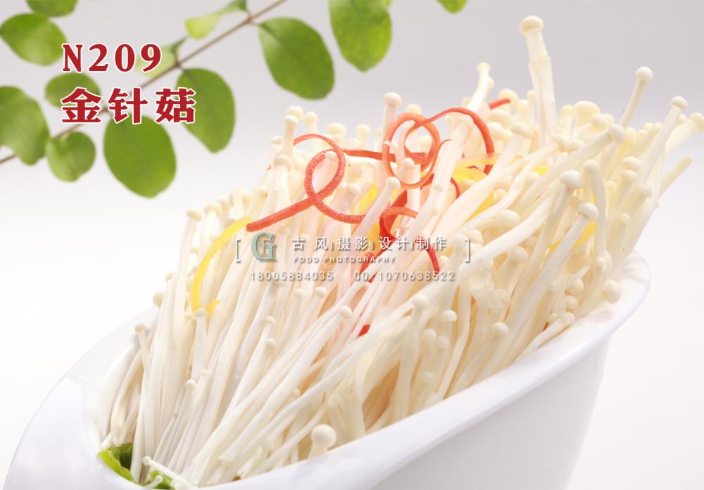 N209金针菇 副本