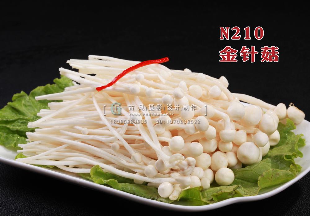 N210金针菇 副本