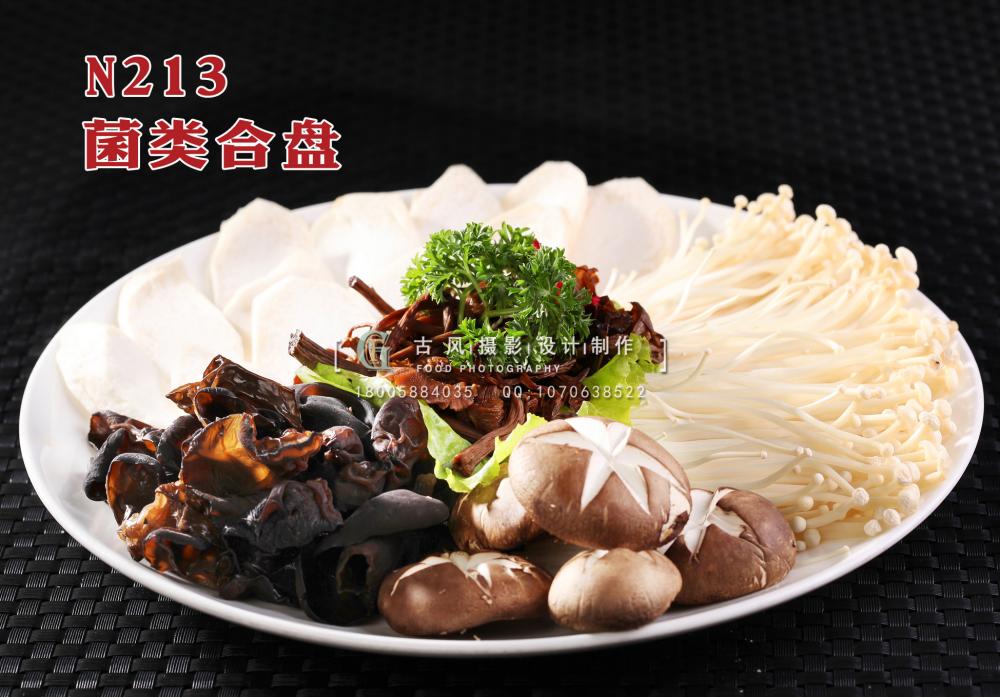 N213菌类合盘 副本