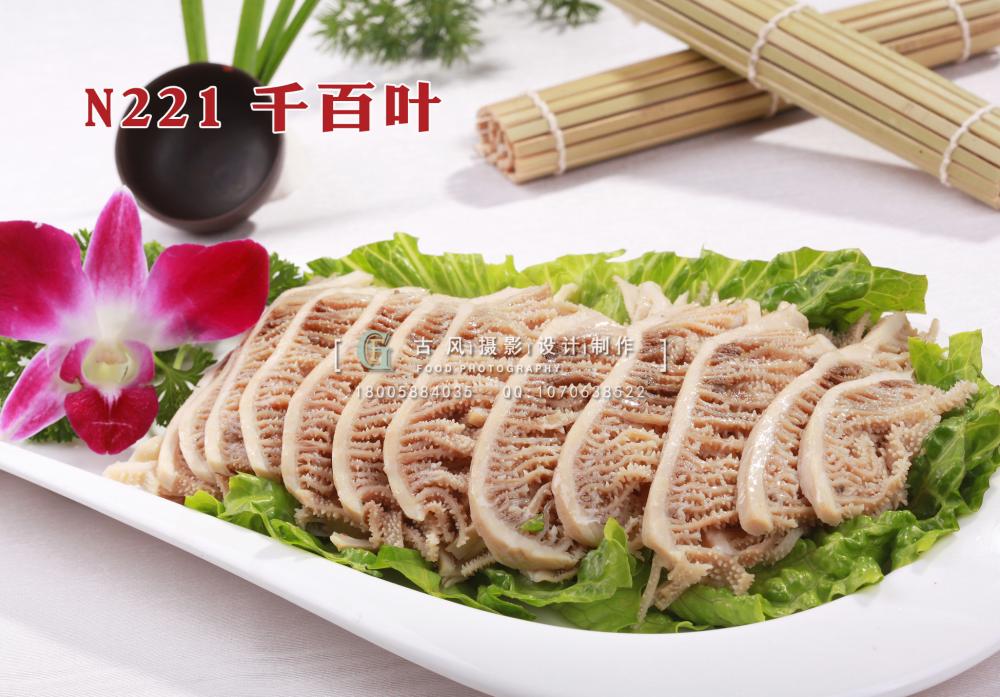 N221千百叶 副本