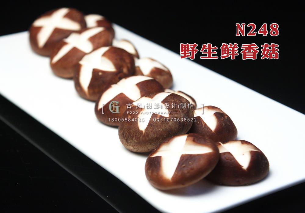 N248野生鲜香菇 副本