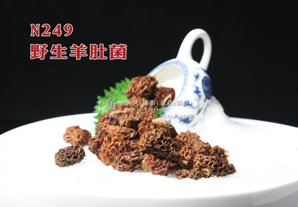 N249野生羊肚菌 副本