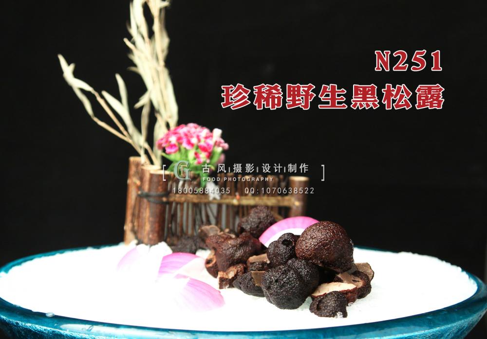 N251珍稀野生黑松露 副本