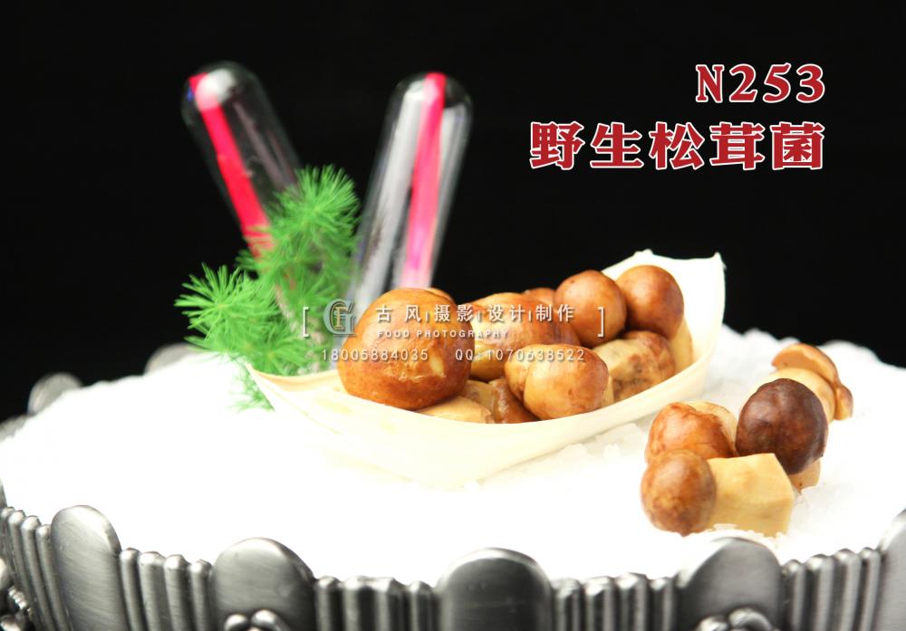 N253野生松茸菌 副本