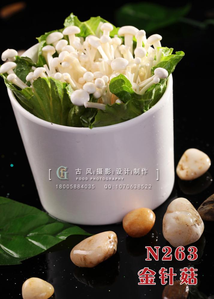 N263金针菇 副本