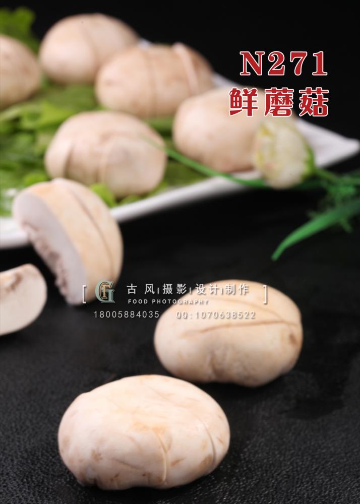 N271鲜蘑菇 副本